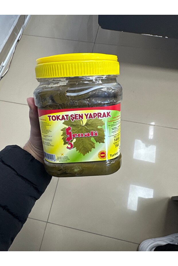 Salamura asma yaprak