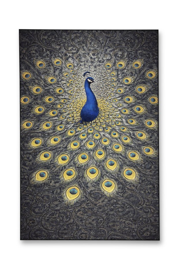 Mosso Gray Themed Abstract Peacock Pattern Woven Base Modern Decorative Carpet Mosso2144