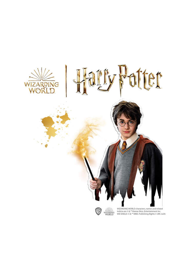 Harry Potter - Taş Boyama - 4