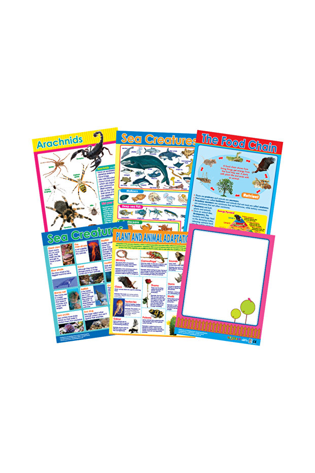 Nature's Wonders (6 Wall Charts) - Educational Wall Chart Pack in English