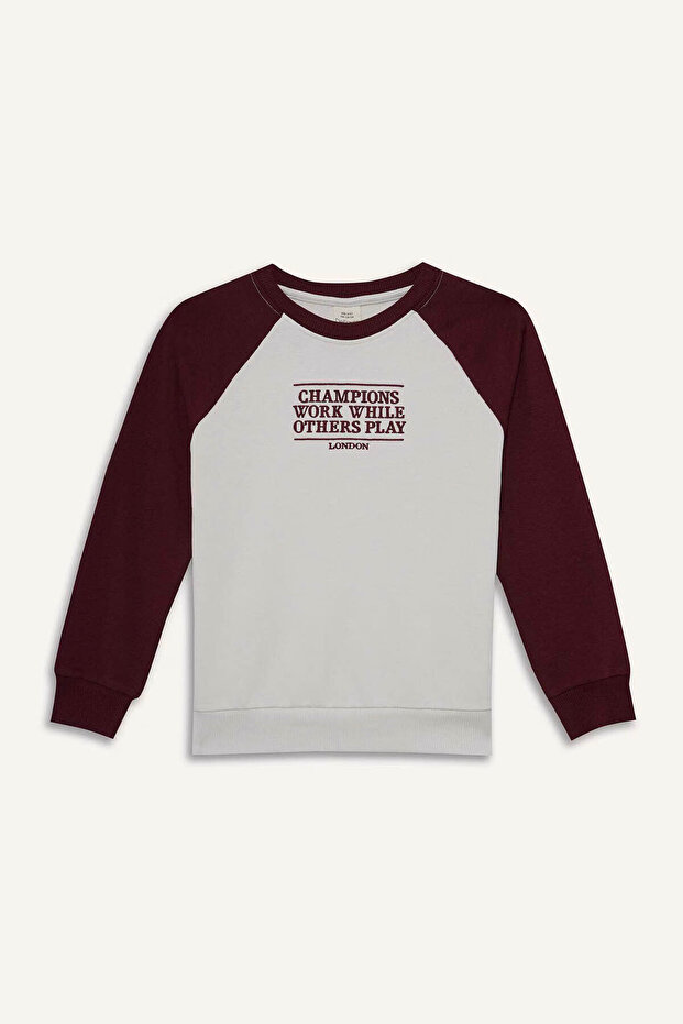 قصة فضفاضة سويت شيرت للأولاد مطرز برقبة دائرية F2707A8/ER136 - 5