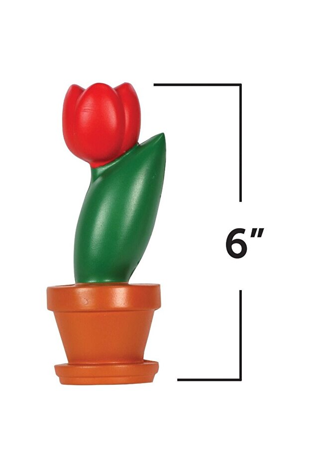 Model de sectiune a florii - 3