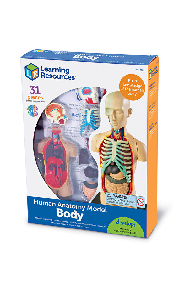 Macheta corpul uman - 5