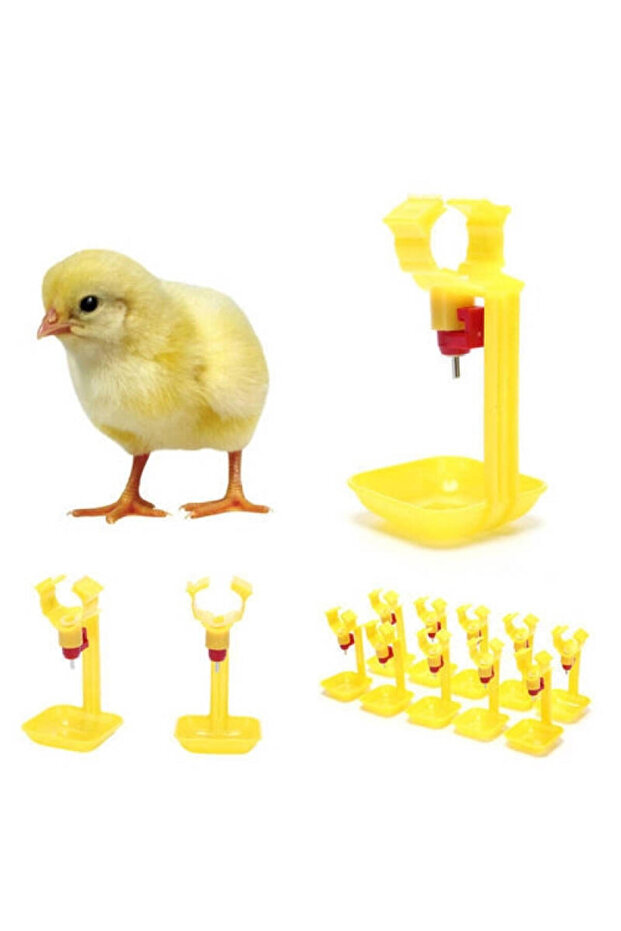 ADAPATOARE PASARI A3 (SET 10 BUC) - 1