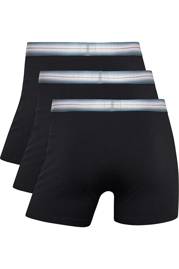 Basic Men’s Trunk Underwear – 3 Pack Cotton Stretch Boxer Trunks, Comfortable Everyday Fit - 2