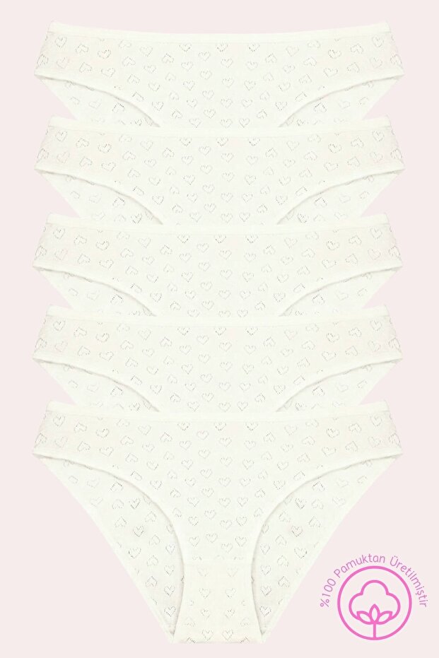 1501 Heart Patterned %100 Cotton 5-Piece Women's Bikini Brief Package