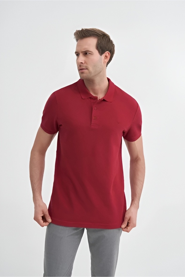 Polo Collar Claret Red Men's T-Shirt 46130