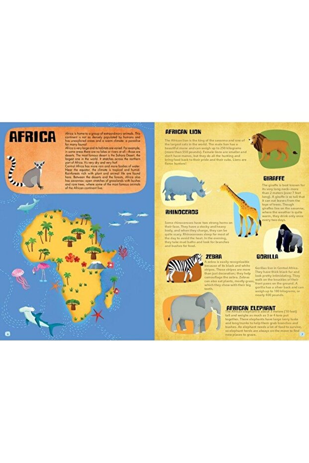 اكتشف واكتشف حيوانات لوميا - 3