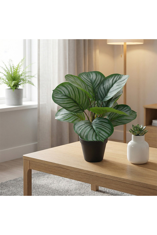 Yapay Bitki Maranta - 3