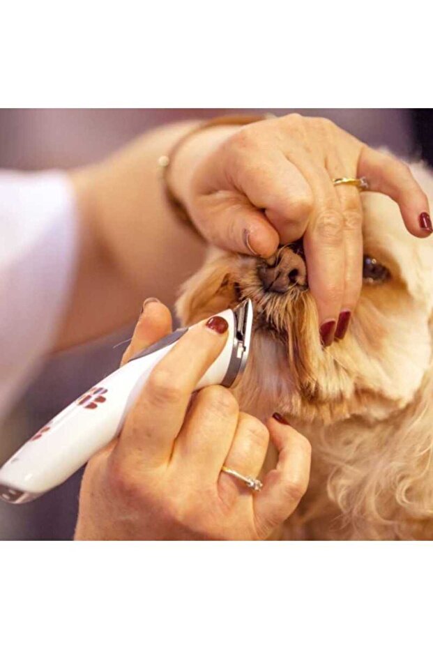 AESCULAPS EXACTA - PROFESSIONAL TRIMMER - 8