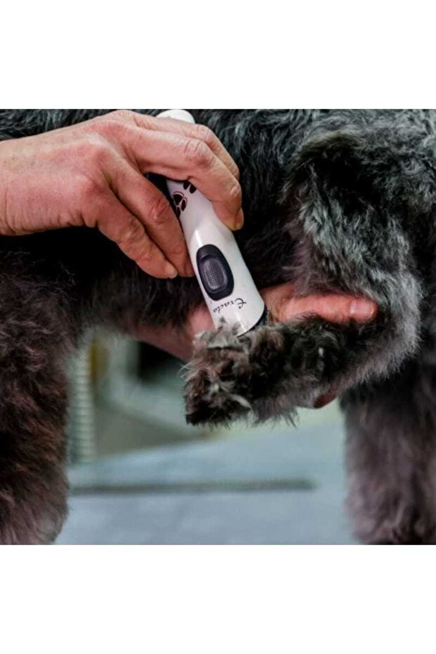 AESCULAPS EXACTA - PROFESSIONAL TRIMMER - 7