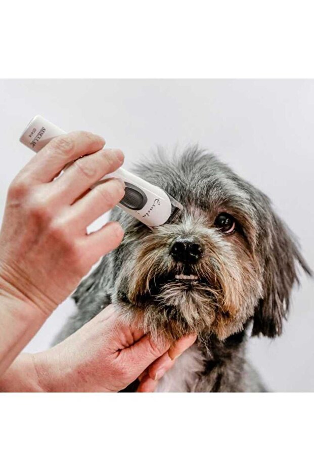 AESCULAPS EXACTA - PROFESSIONAL TRIMMER - 6