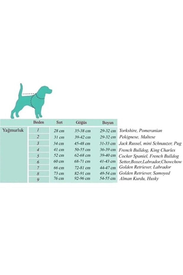 Shawl Köpek Tulumu - 4