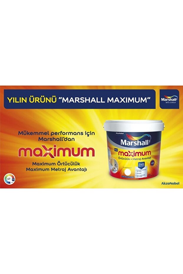 Maximum Silikonlu Ipek Mat Boya - 2