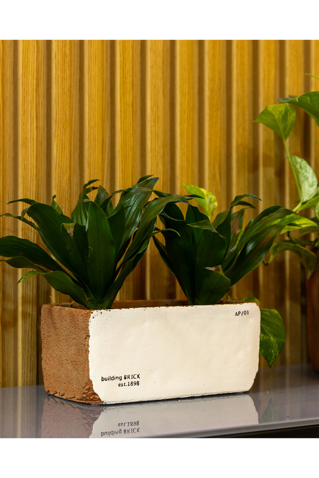 Sirona Saksı 3'lü Set - 4