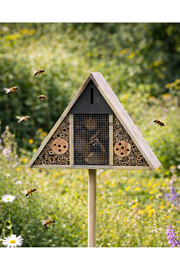 Vertex Böcek Oteli - 1