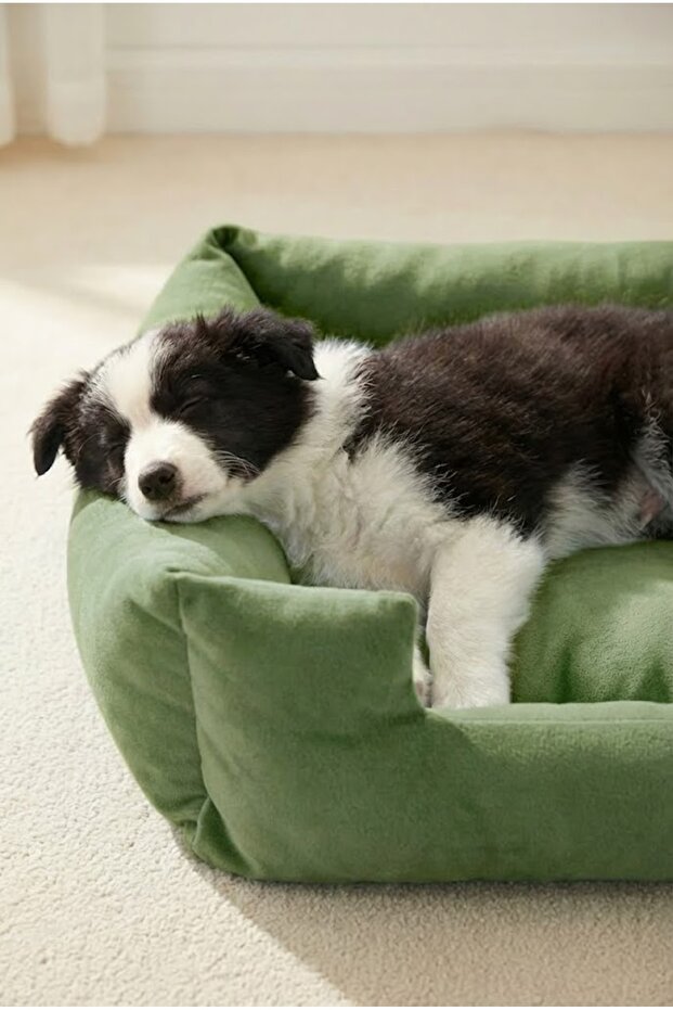 Soho Ultra Yumuşak Kedi ve Köpek Yatağı Elyaf Dolgu - 5