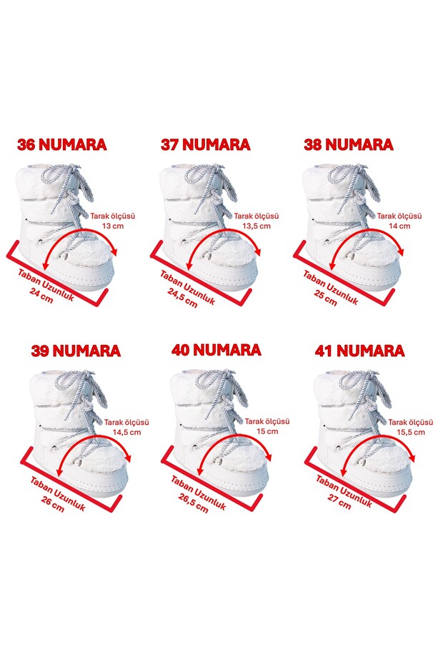 مجموعة نود بيلوز دوست. - 6