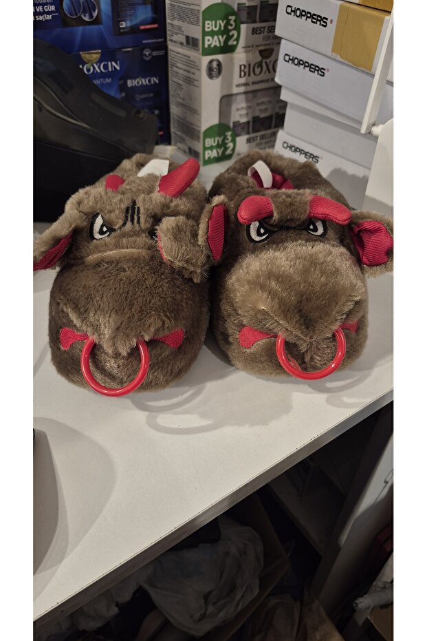 Yetişkin panduf - 1