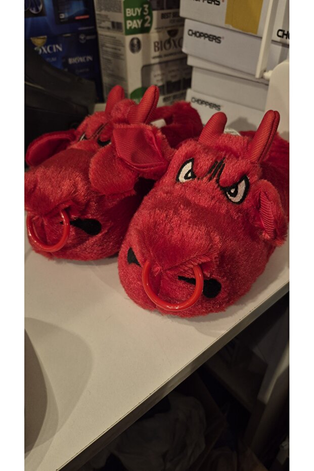 Yetişkin panduf - 1