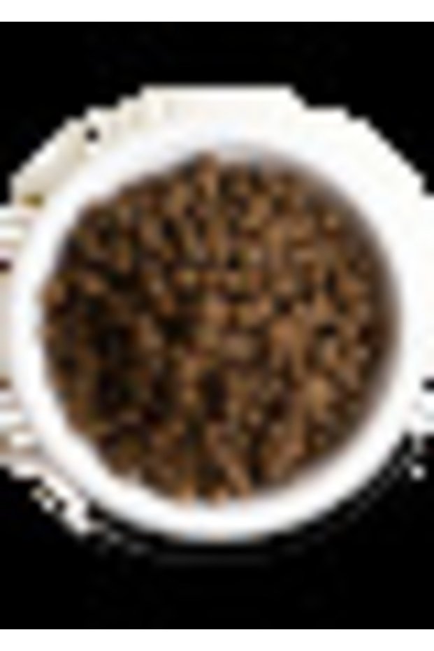 Grain Free Pasture Lamb Dry Dog Food - 4.98KG