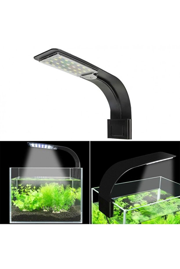 Led Top Light 10W Black Shell-White Light -X5