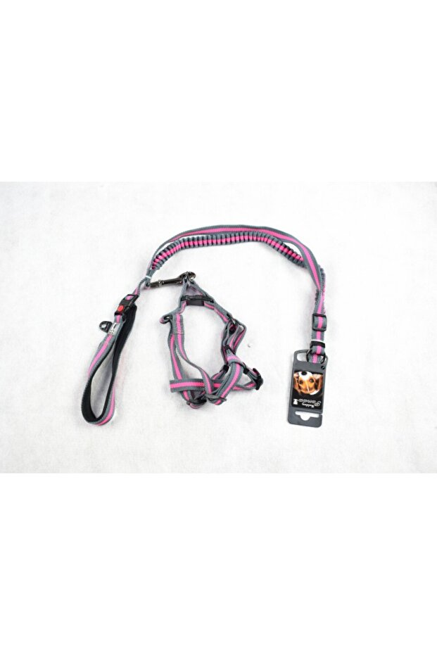 Leash + Harness + Collar[Dimension - 25mm x 60-90cm + 15mm x 120cm]