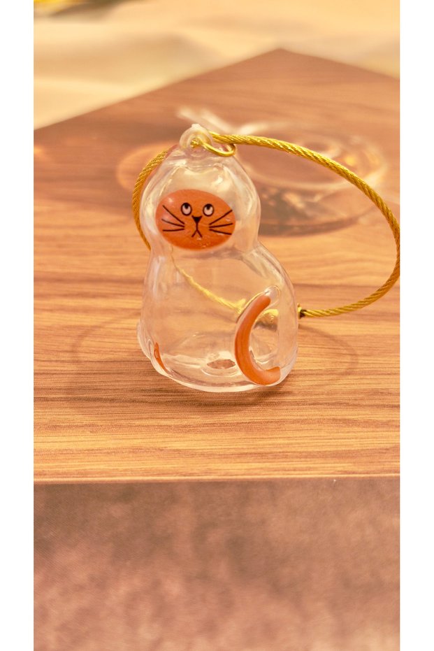 Cat Hair Filling Keychain - Cat Hair Storage Keychain - Transparent Keychain - Fill It Yourself
