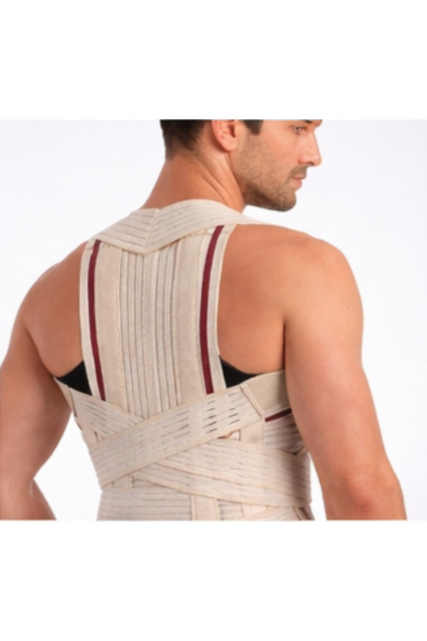 DORSELOMBER (TORAKOLOMBER)(S) - 3