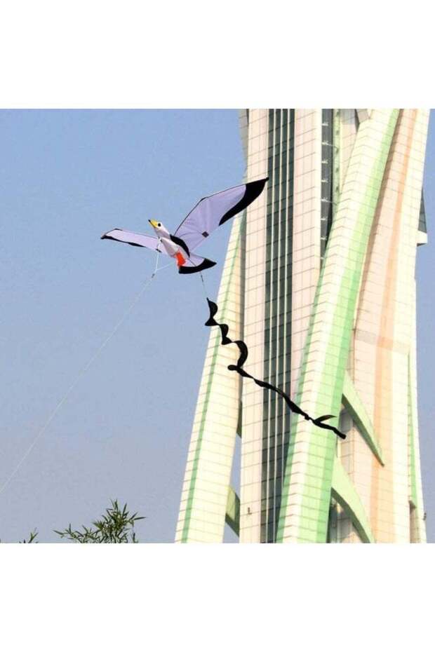 طائرة ورقية ثلاثية الأبعاد على شكل نورس - 4