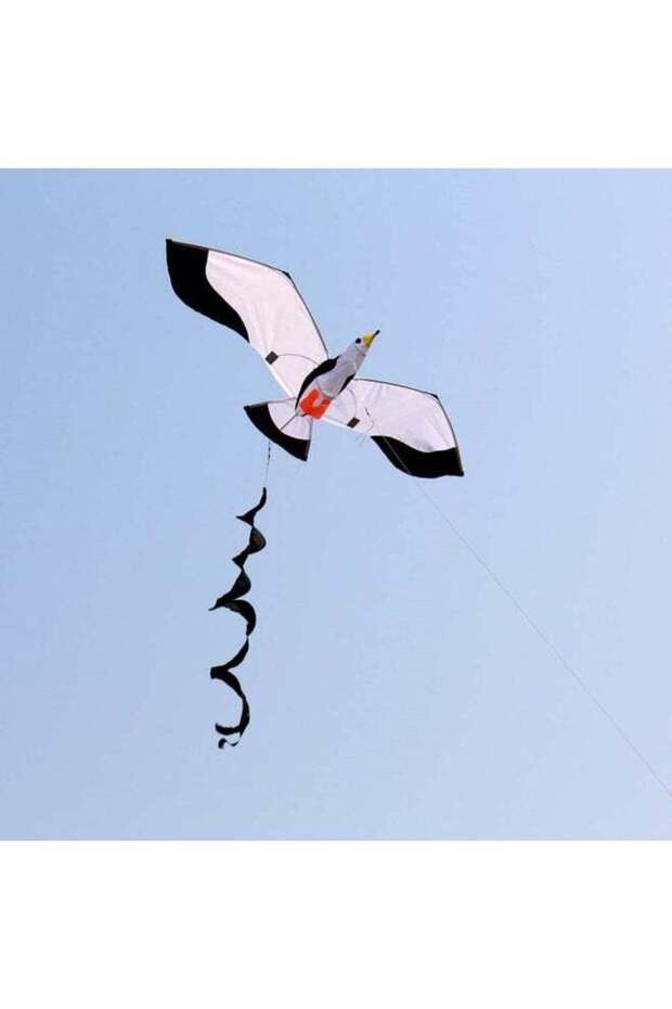 طائرة ورقية ثلاثية الأبعاد على شكل نورس - 3