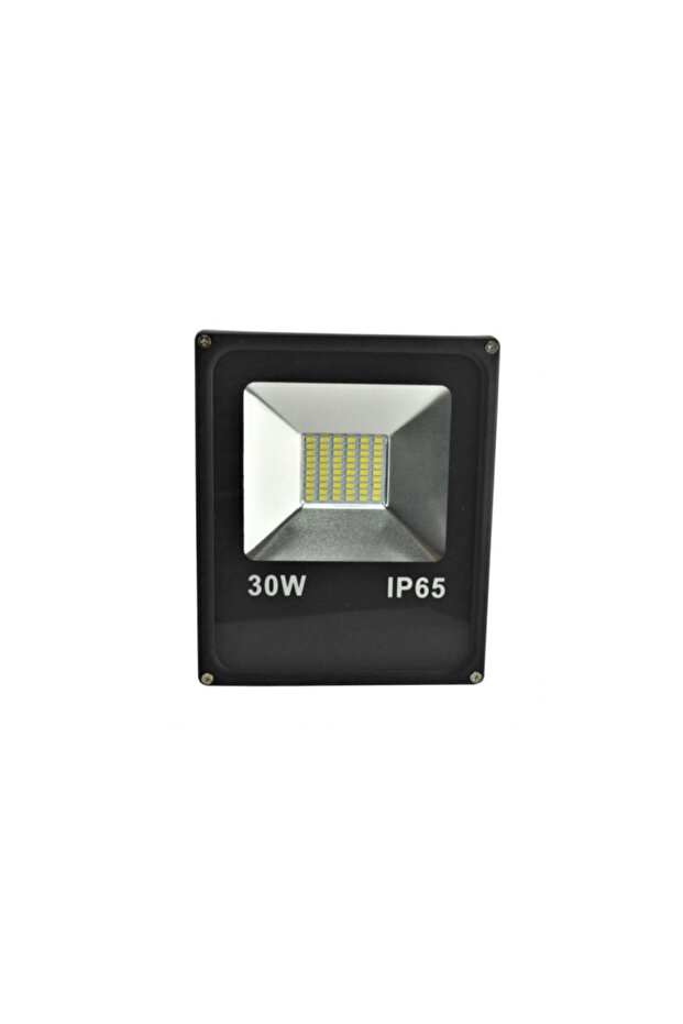 Proiector LED SMD 30W - 1