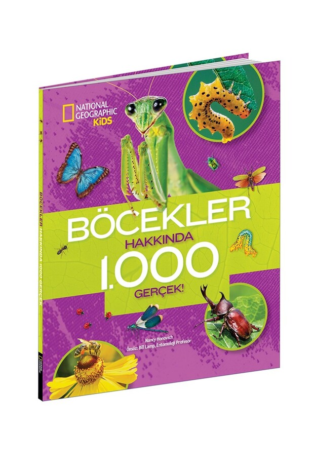 Böcekler Hakkında 1000 Gerçek