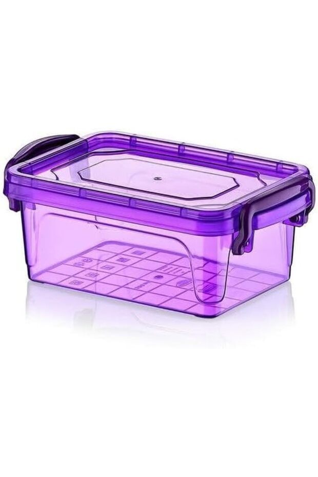 Life Plastic Storage Container, 300ml, Multi-Color, Rectangle with Clip Lid