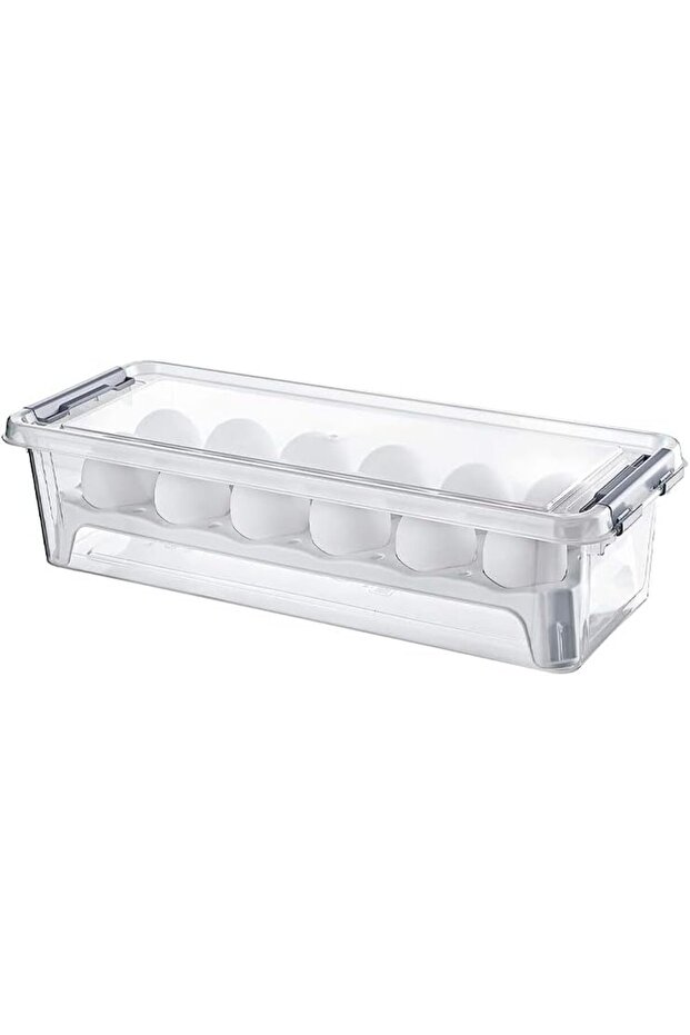 Life Storage Box For 12 Eggs