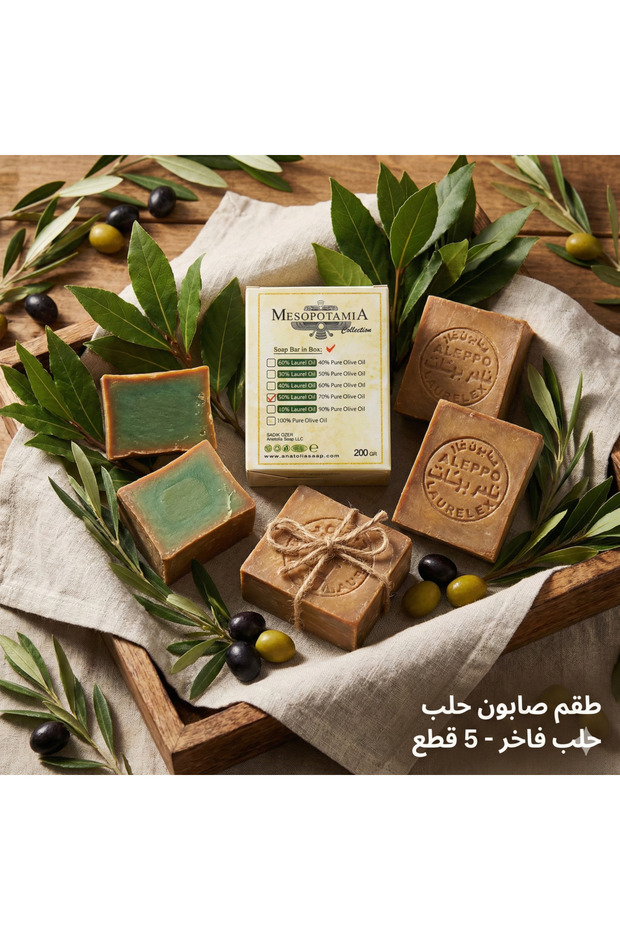 Mesopotamia 30% Laurel Oil Aleppo Soap 5-Pack (5X200G) - Deep Natural Purification