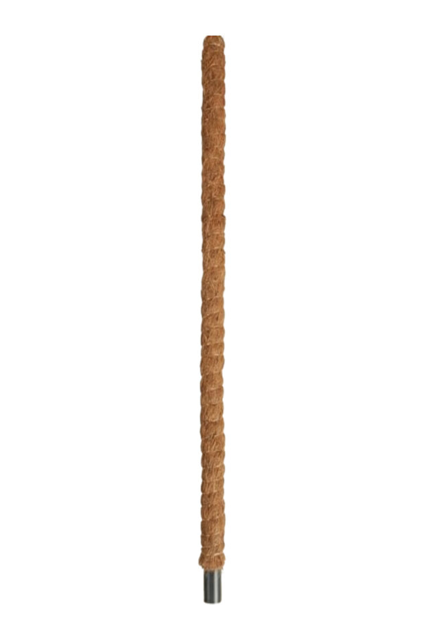 Moss Stick 100CM