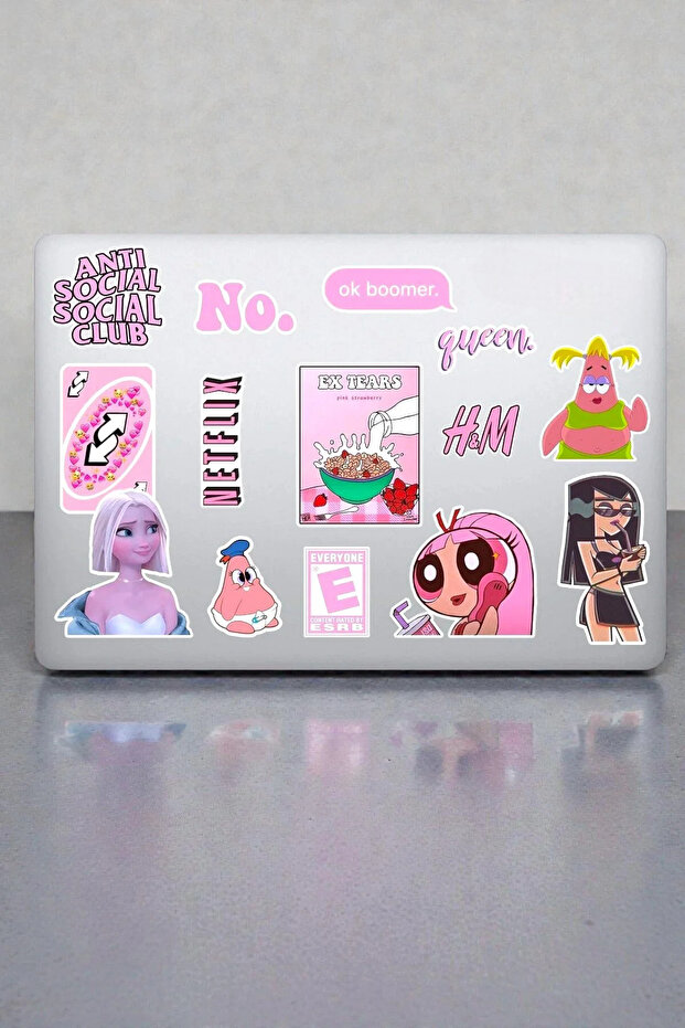 Pretty Girl Aesthetic Sticker Set 15 Pieces Pink Design