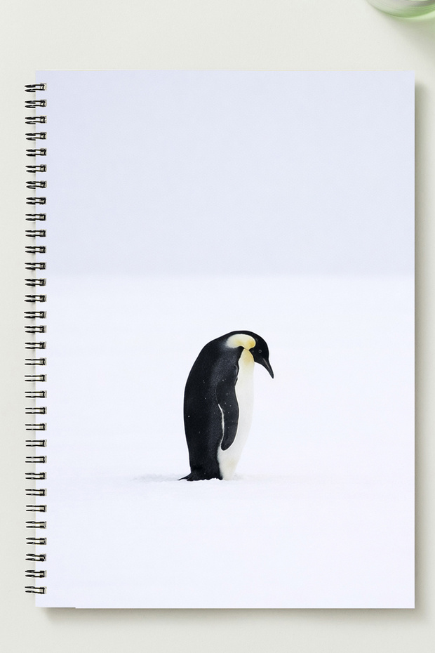 دفتر ملاحظات PENGUEN A5 بغلاف معدني حلزوني غير مسطر من الورق المقوى