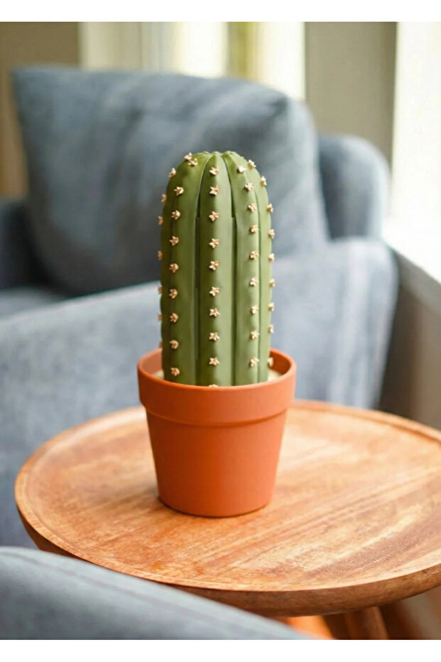 Kaktüs Satranç Seti - 8