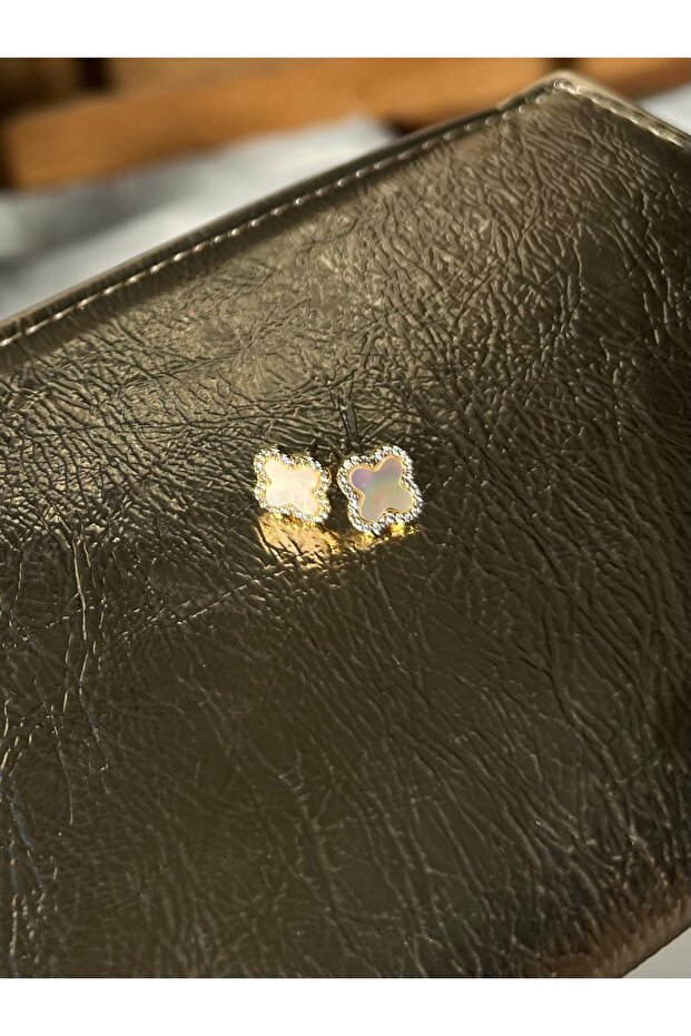 Marka Model Sedefli Çelik Küpe - 3