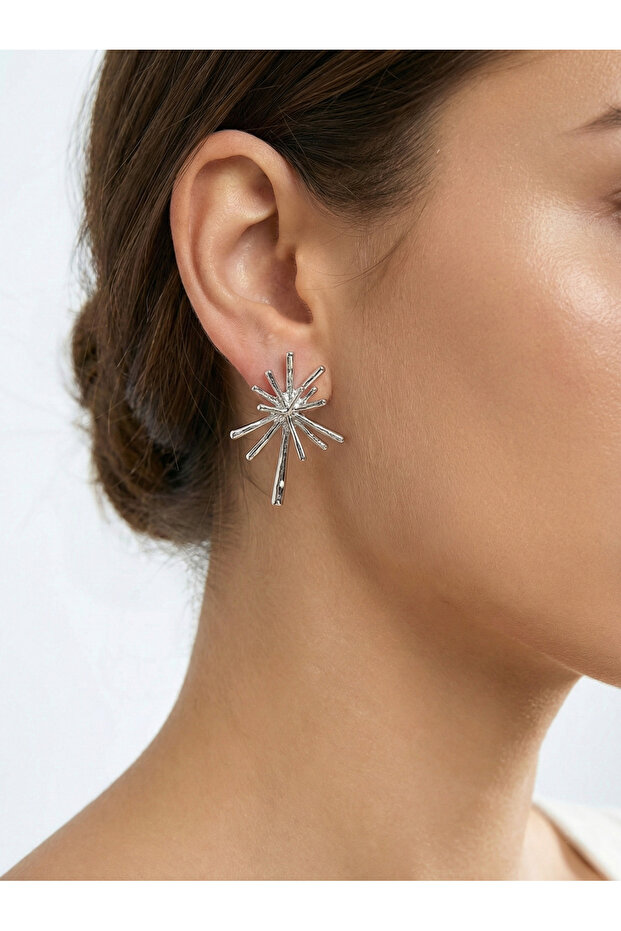 Sun Sparkle Earrings Modern Sparkle Women's Steel Earrings