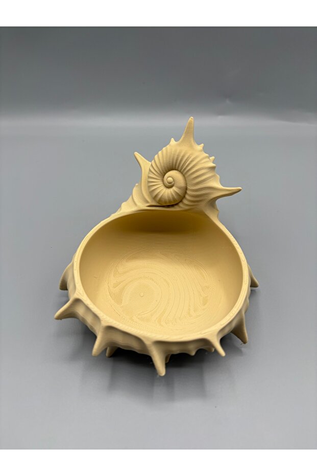 Deniz Kabuğu Takılık - 4