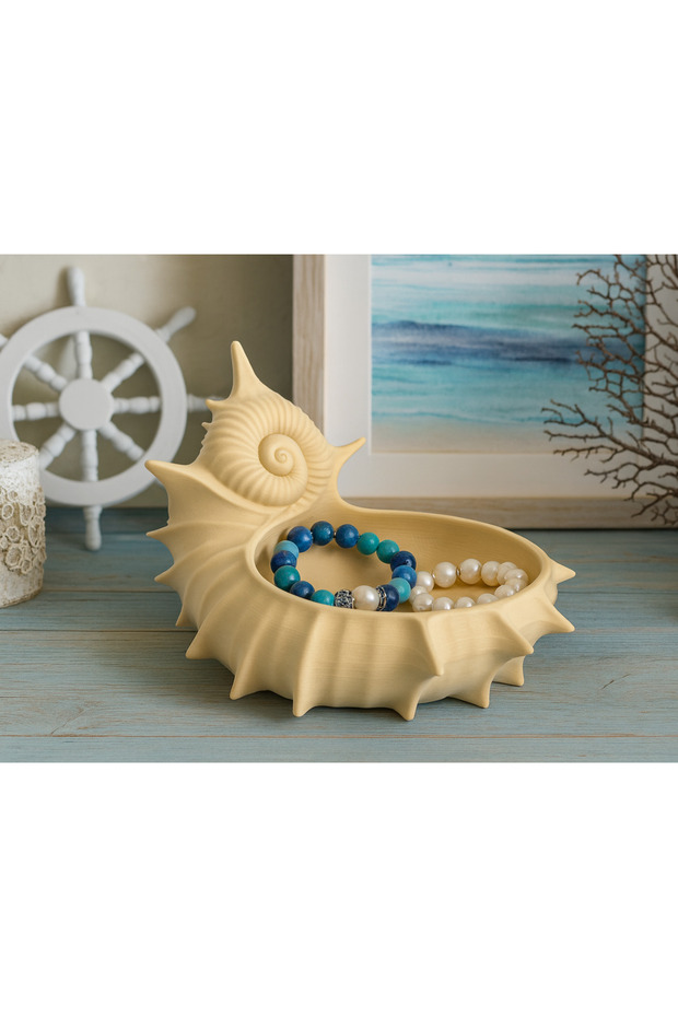 Deniz Kabuğu Takılık - 2