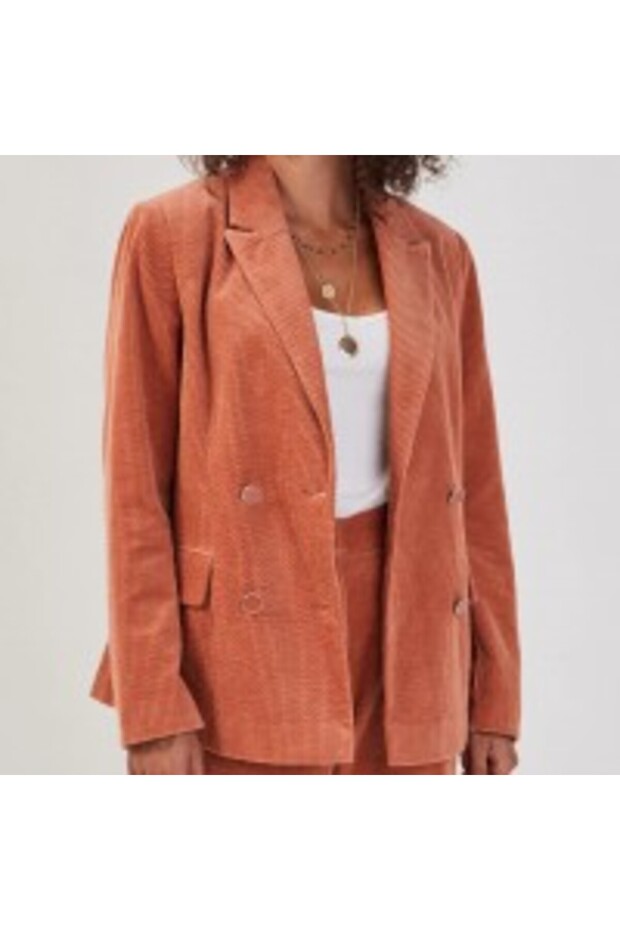 Tetracotta Velvet Blazer - 2