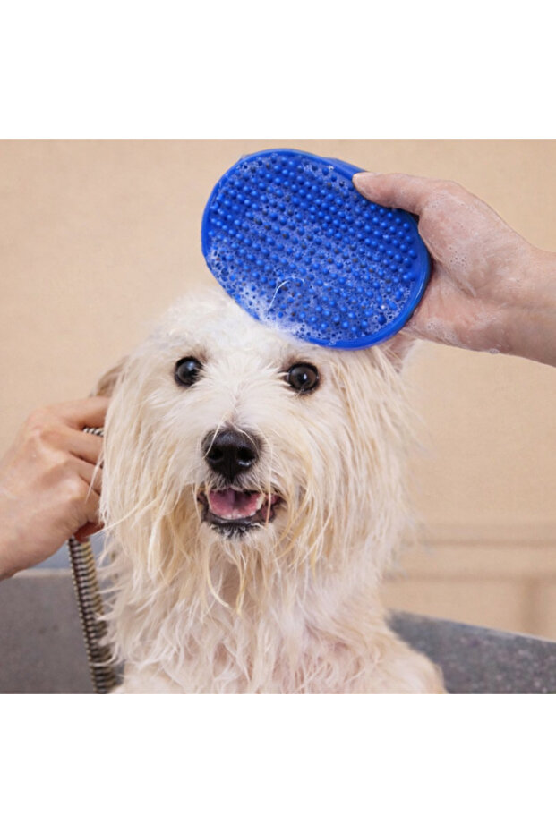 Blue Cat Dog Rubber Bathing and Hair Collection Glove – Massage Cleaning Brush