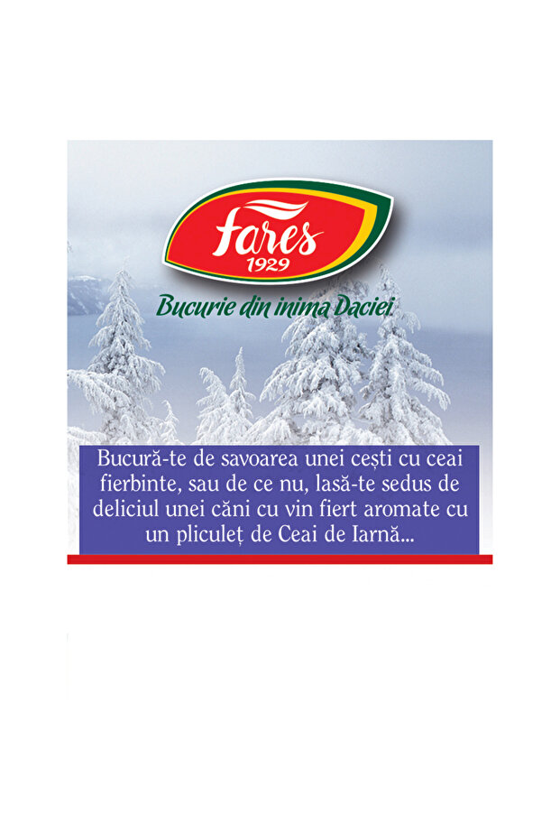 Winter Tea, 20 sachets, - 3