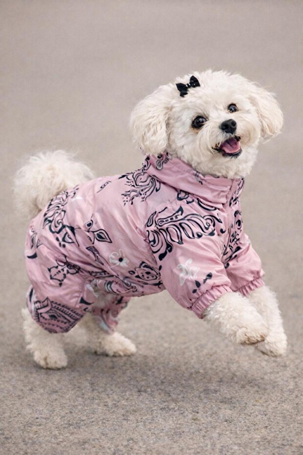 Shawl Köpek Tulumu - 1