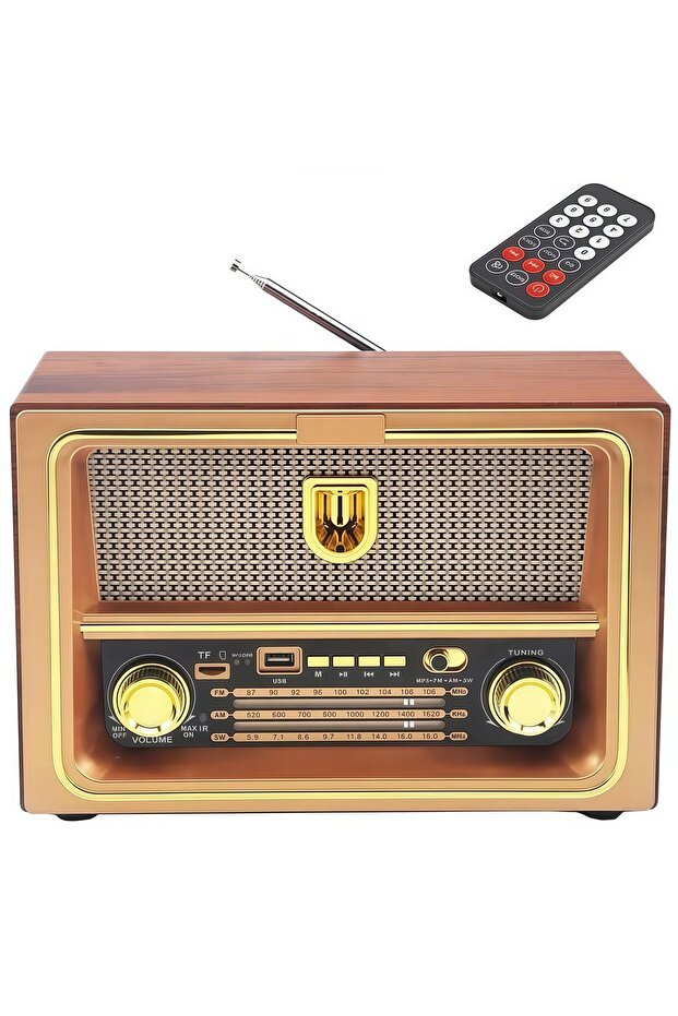 جهاز استقبال راديو FM عالي الدقة من دينكس، مكبر صوت بتصميم كلاسيكي، منفذ USB، بطاقة ذاكرة TF، حساسية عالية، جهاز تحكم عن بعد، DX2444