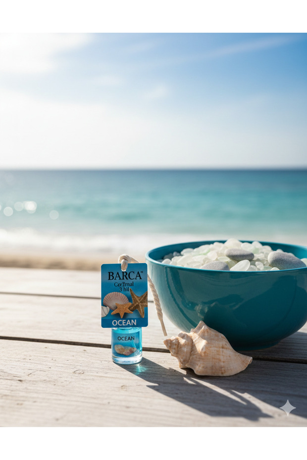 OKYANUS ARABA KOKUSU - 3